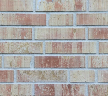 WASSERSTICH auckland